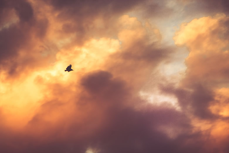 20150426-plane-crash-french-alps-jane-kennard-circles-within-circles-781x523