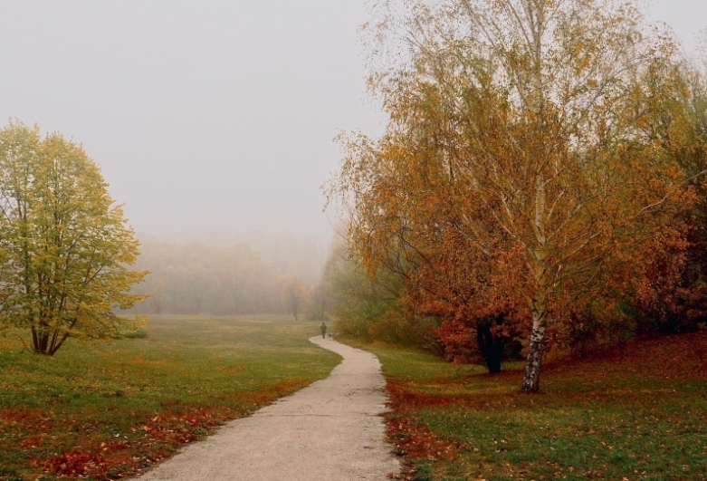 forgiving-yourself-frees-you-to-move-forward-jane-kennard-circles-within-circles forgiving-yourself-frees-you-to-move-forward-jane-kennard-circles-within-circles