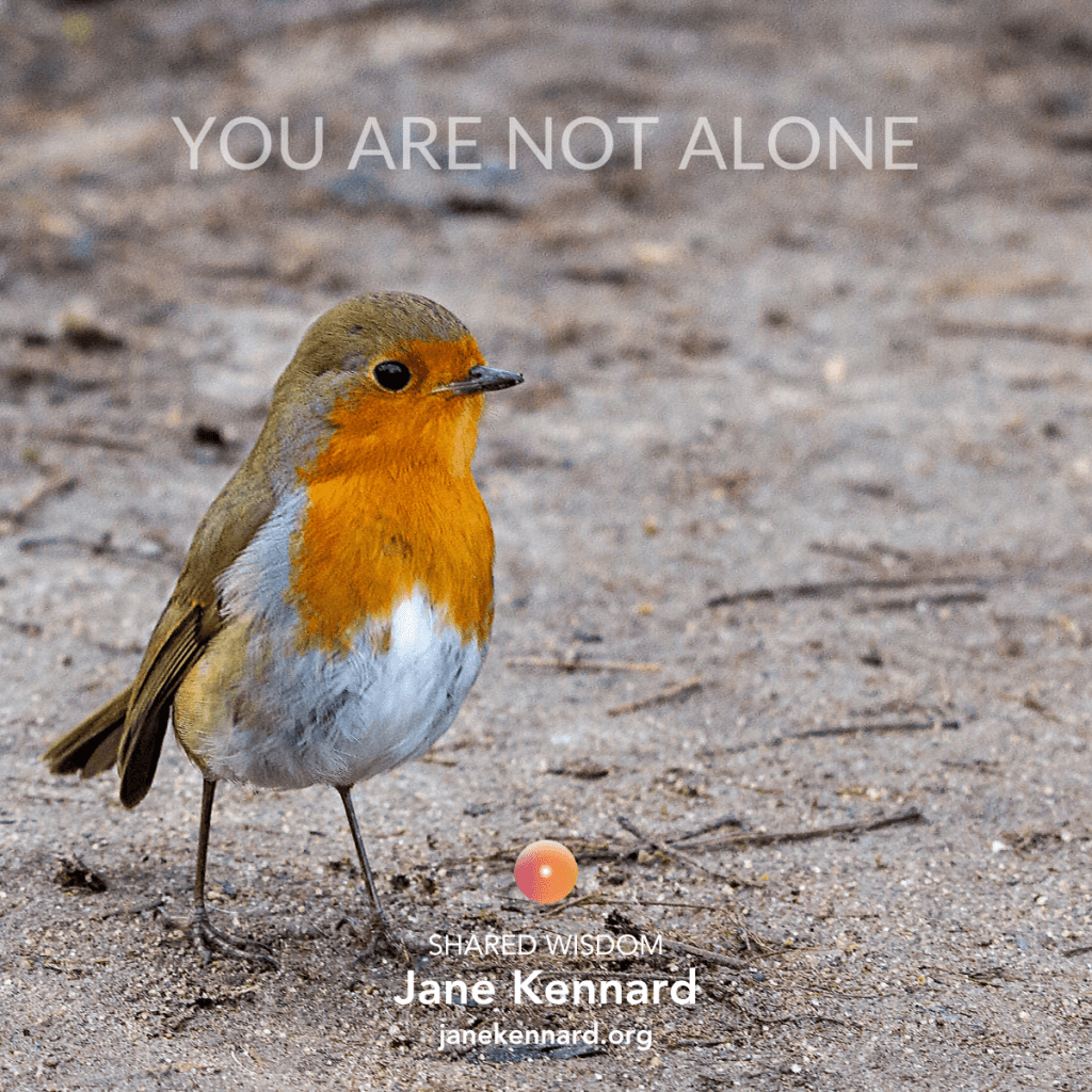 Jane-Kennard-Connection-With-Guides-You-Are-Not-Alone-2-min-1024x1024-min