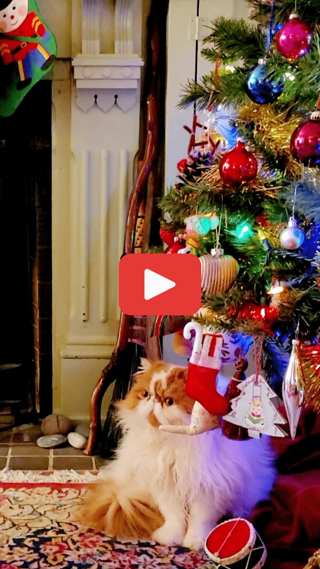 A-Celebration-Of-The-Season-Christmas-December-1-2025-Jane-Kennard-spiritual-intuitive-psychic-medium-play-video