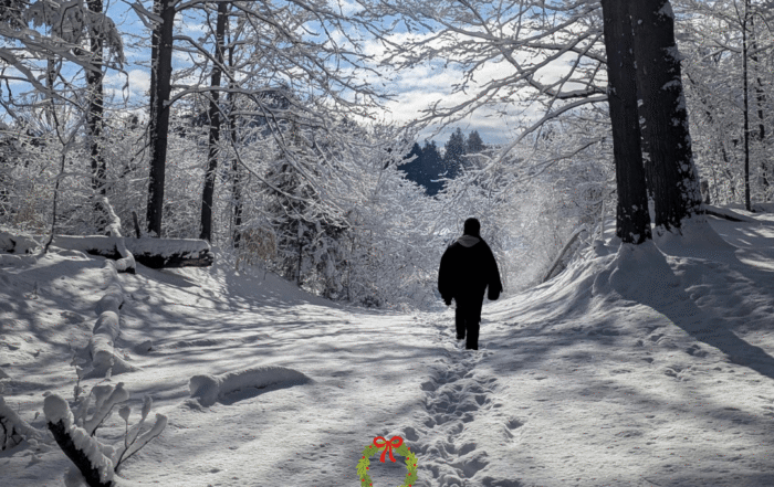 A-Christmas-Eve-Walk-With-My-Guide-25-Days-Of-Christmas-Jane-Kennard