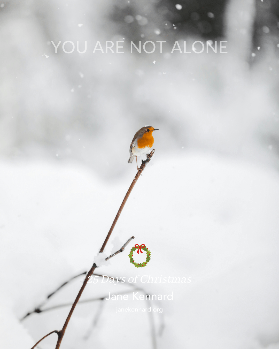 Messages-come-in-unexpected-ways-25-Days-Of-Christmas-with-Jane-Kennard-2-min